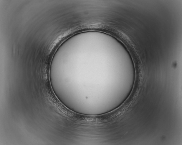 X0000116291218200912141304