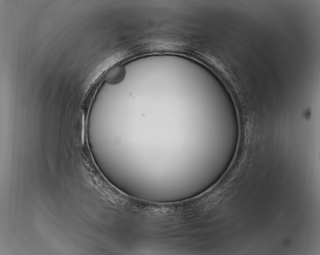 X0000116291219200912141304