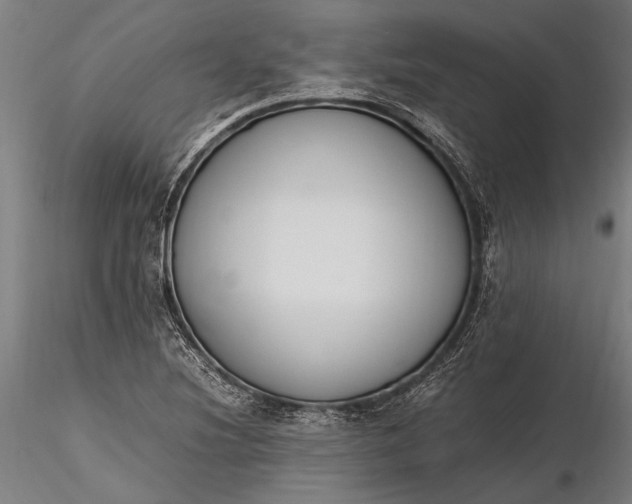 X0000116291220200912141304