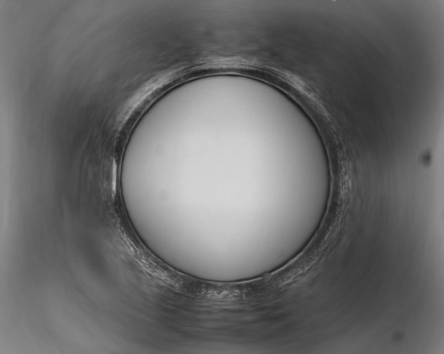 X0000116291221200912141304