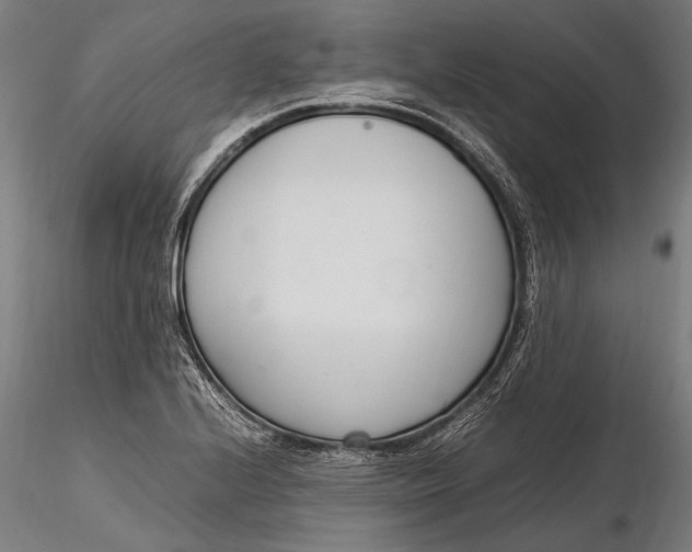 X0000116291224200912141304