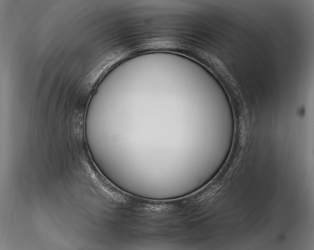 X0000116291225200912141304