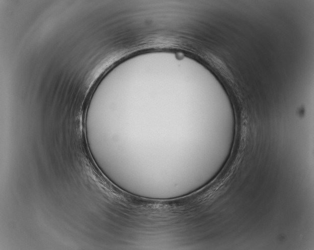 X0000116291226200912141304