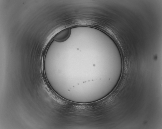 X0000116291227200912141304