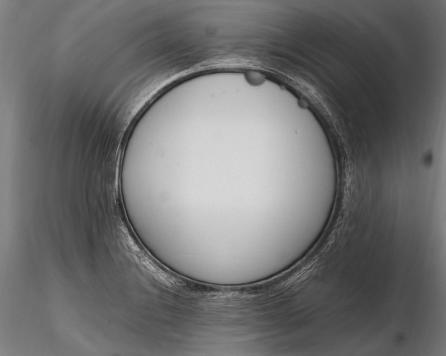 X0000116291228200912141304