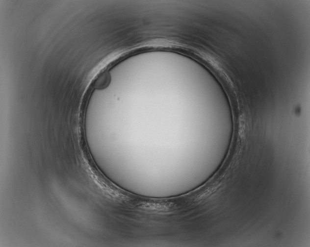 X0000116291229200912141304