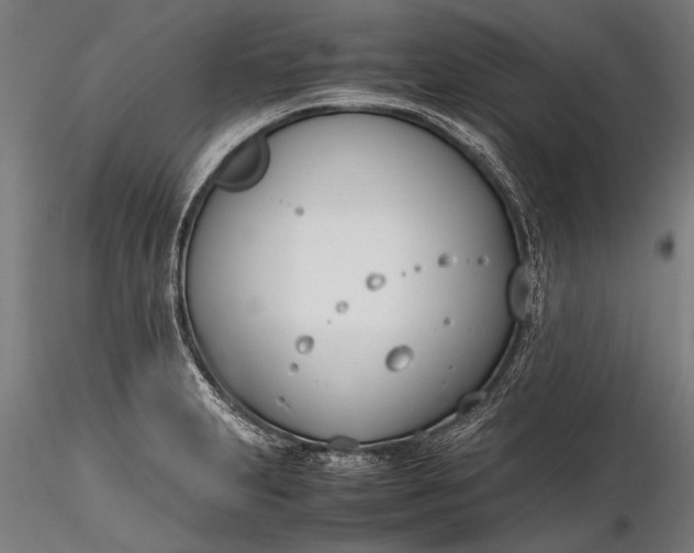 X0000116291231200912141304