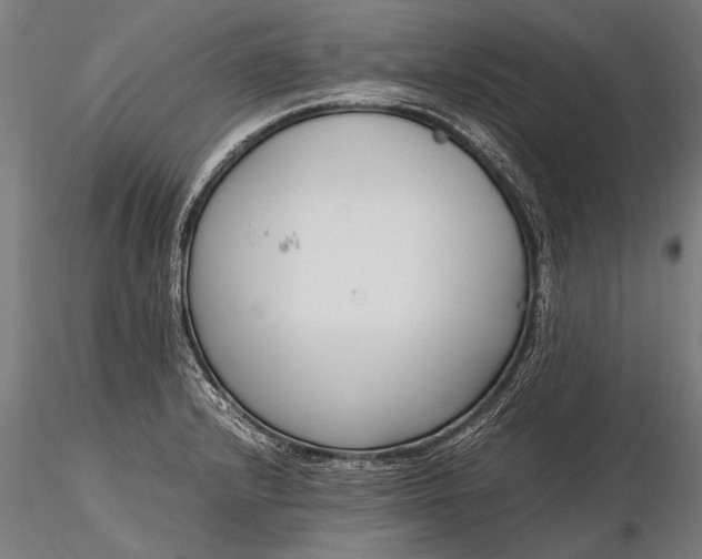 X0000116291232200912141304