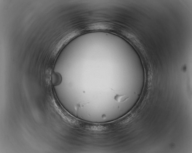 X0000116291233200912141304