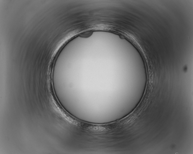 X0000116291235200912141304