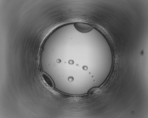 X0000116291236200912141304