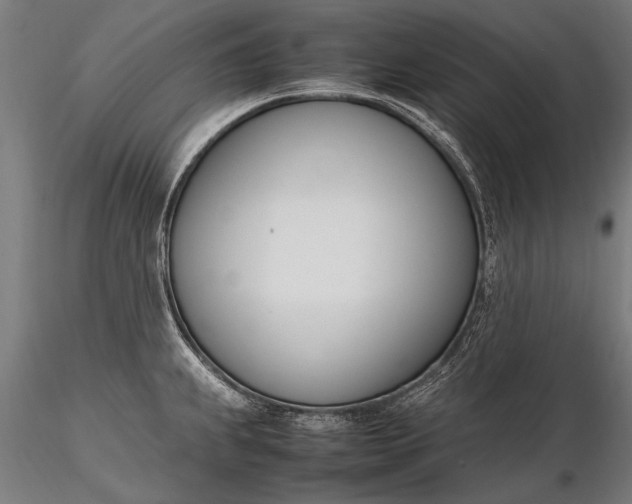 X0000116291239200912141304