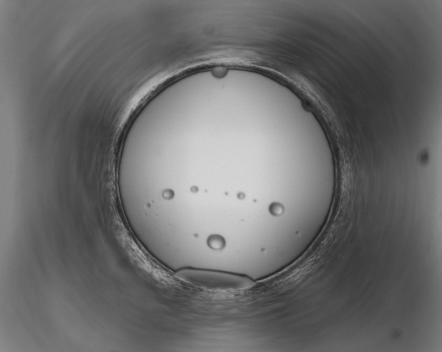 X0000116291240200912141304