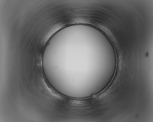 X0000116291241200912141304