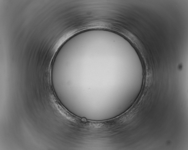 X0000116291242200912141304