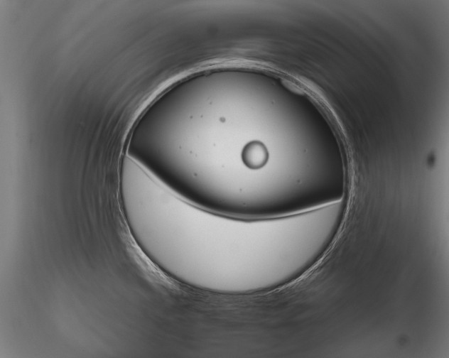 X0000116291244200912141304