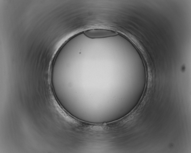 X0000116291246200912141304