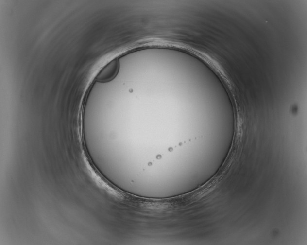 X0000116291247200912141304