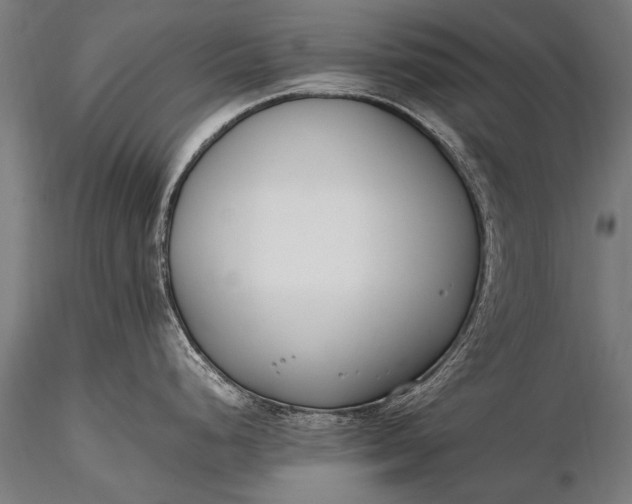 X0000116291248200912141304