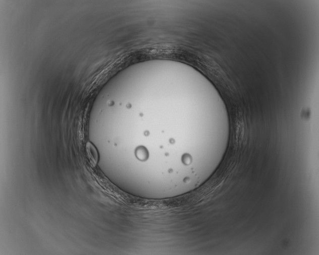 X0000116291250200912141303