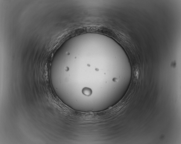 X0000116291252200912141303