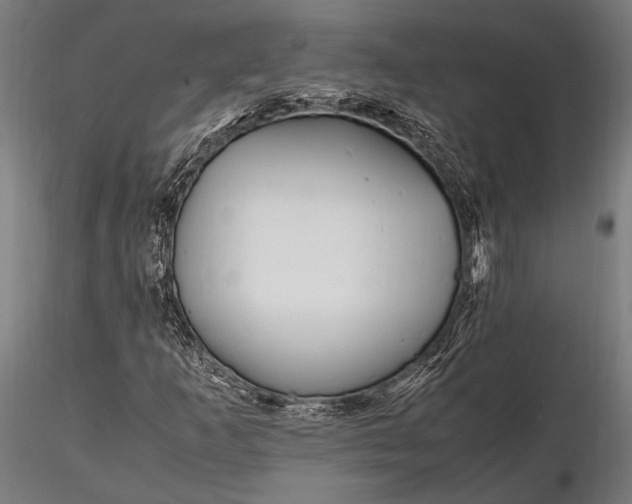 X0000116291253200912141303