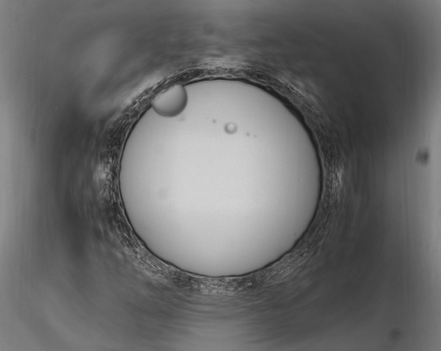 X0000116291254200912141303