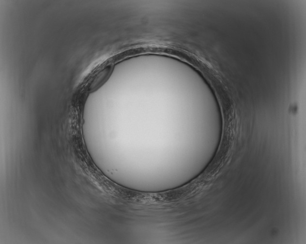 X0000116291255200912141303