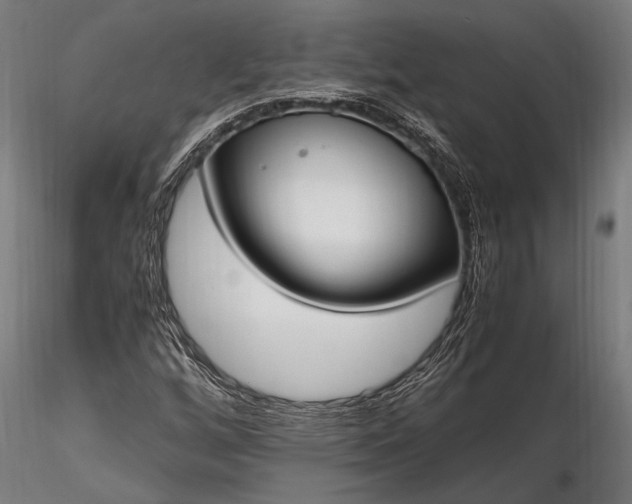 X0000116291256200912141303