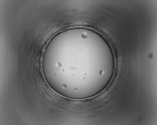 X0000116291257200912141303