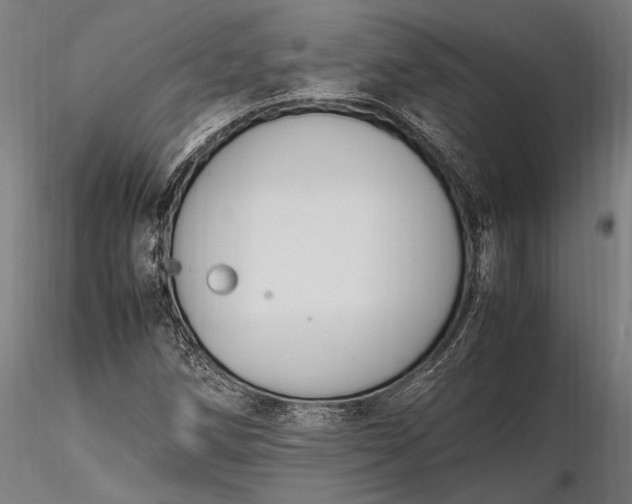 X0000116291258200912141303