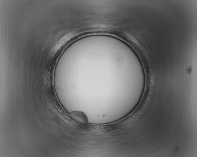 X0000116291259200912141303