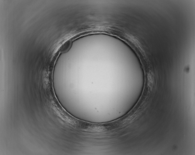 X0000116291260200912141303