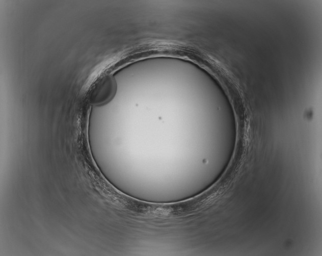 X0000116291261200912141303