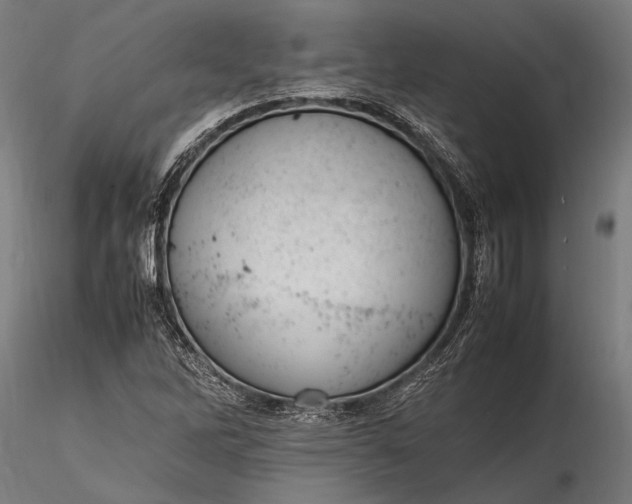 X0000116291262200912141303