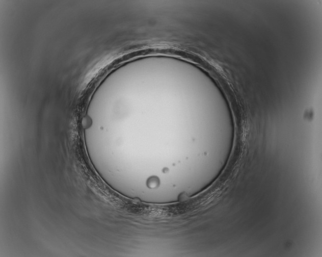 X0000116291263200912141303