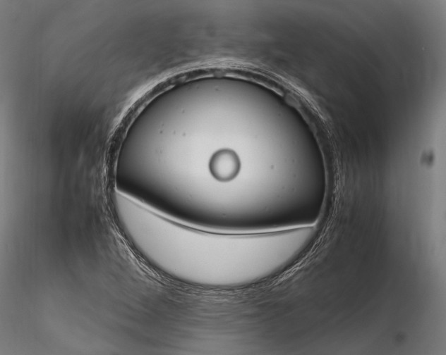 X0000116291264200912141303