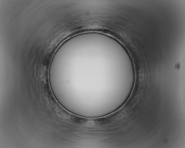 X0000116291265200912141303