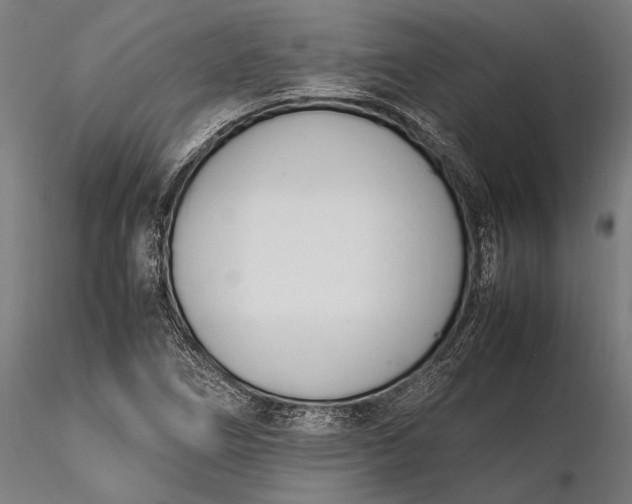 X0000116291266200912141303