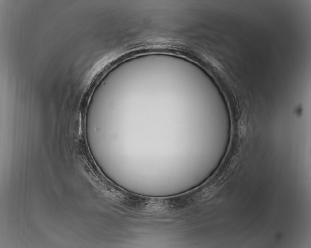 X0000116291267200912141303