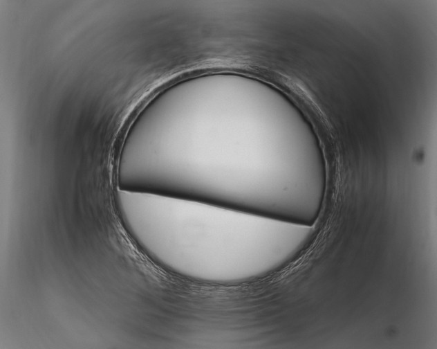 X0000116291268200912141303