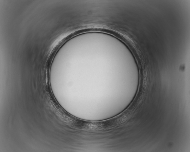 X0000116291271200912141303