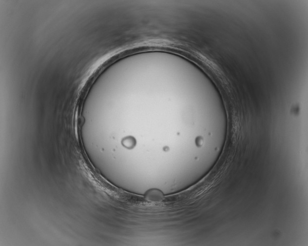 X0000116291272200912141303