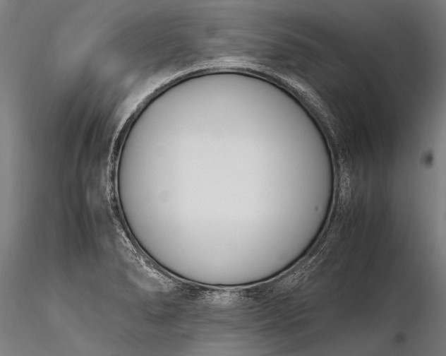 X0000116291278200912141303