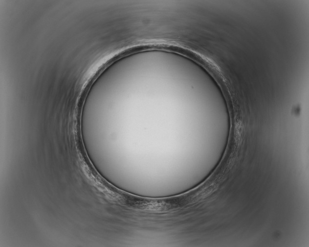 X0000116291279200912141303