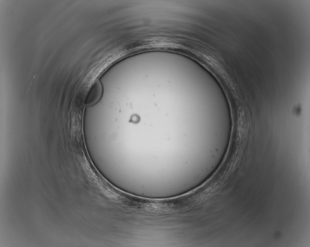 X0000116291281200912141303