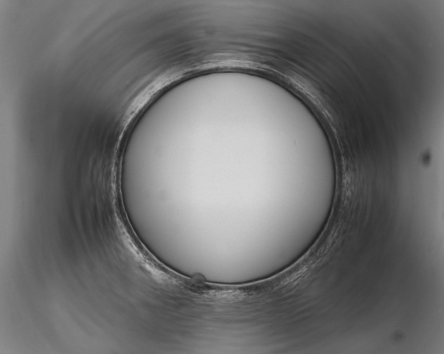 X0000116291282200912141303