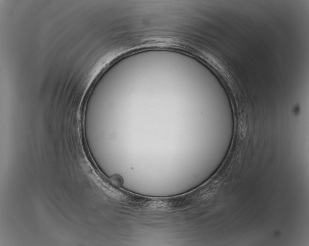 X0000116291283200912141303