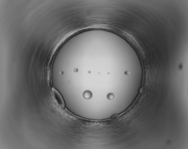 X0000116291284200912141303