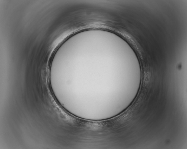 X0000116291286200912141303